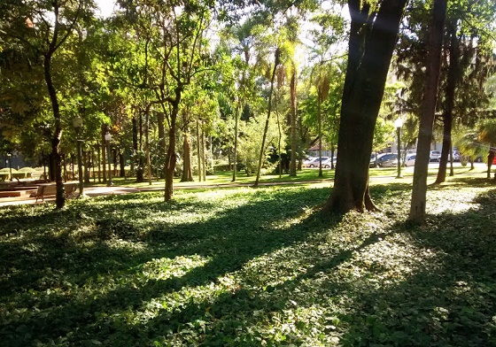 Parque Afonso Junqueira - Poos de Caldas